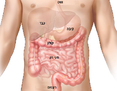 טיפול נגד עצירות