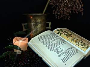 צמחי מרפא לעצירות – עקרונות הטיפול